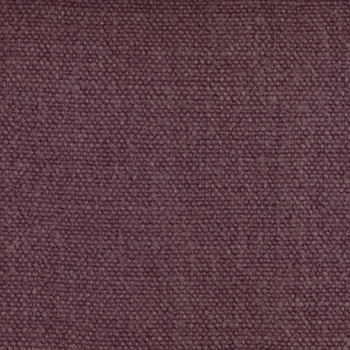 Pure - Violet