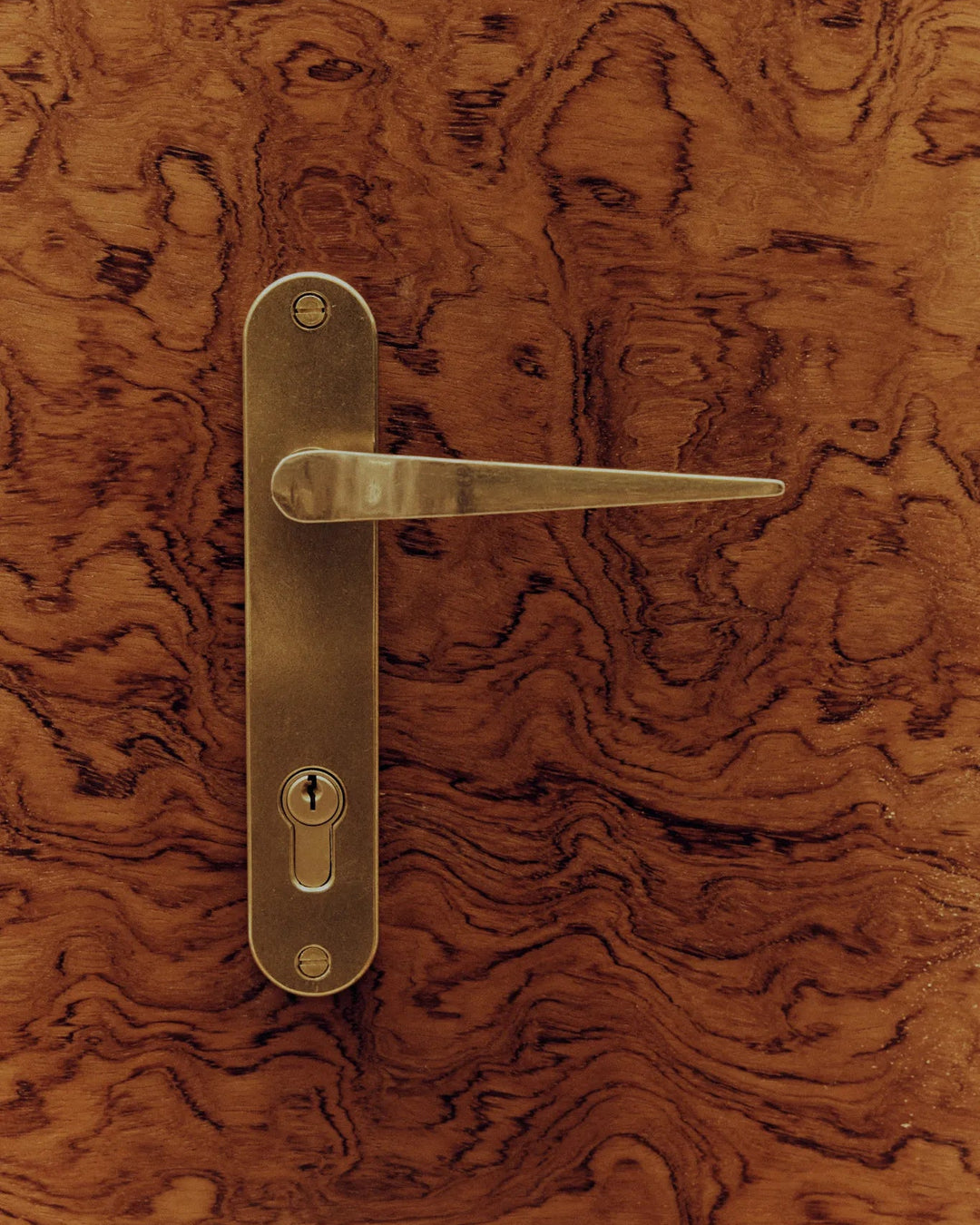 Palais Handle Brass