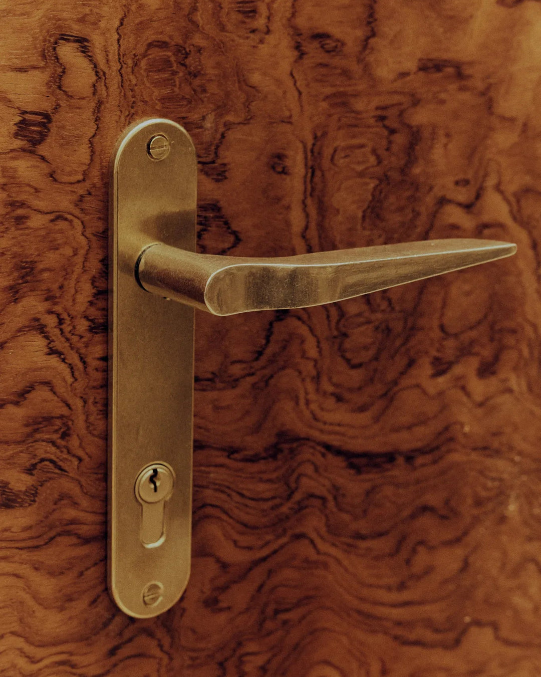 Palais Handle Brass, in AM Designs showroom, Antwerpen