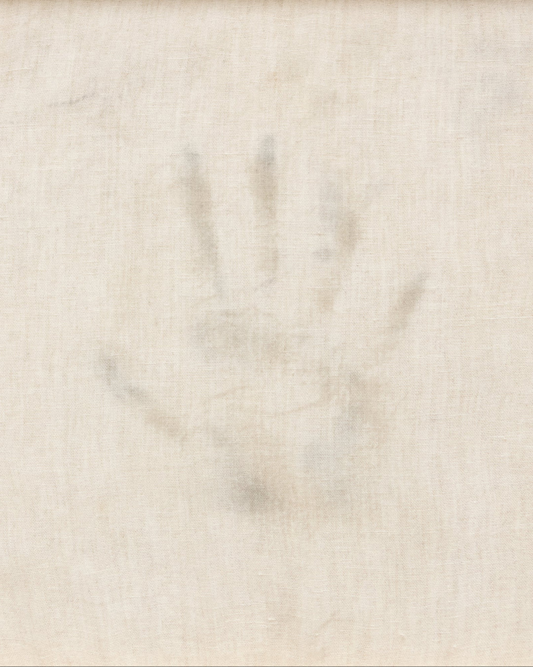 autoportrait (hand), photograph by Ethan Caflisch